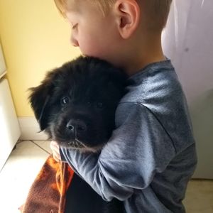 Meet your Posher, Sherry